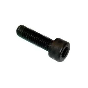 Tornillo de jugador